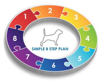 8stepplan 8 Step Plan