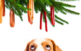Your Property Hound Christmas