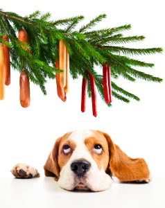 Your Property Hound Christmas